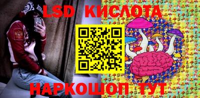 PSILOCYBIN Кунгур